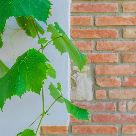 Apartment Podere La Querciola *